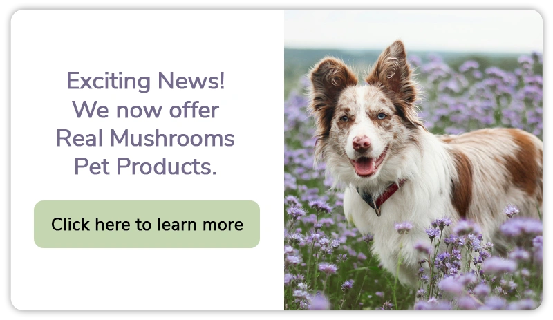 Exciting News! We now offer Real Mushrooms Pet Products.